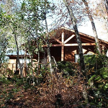 Cabana Bosque Viejo Villa Las Trancas Exterior photo
