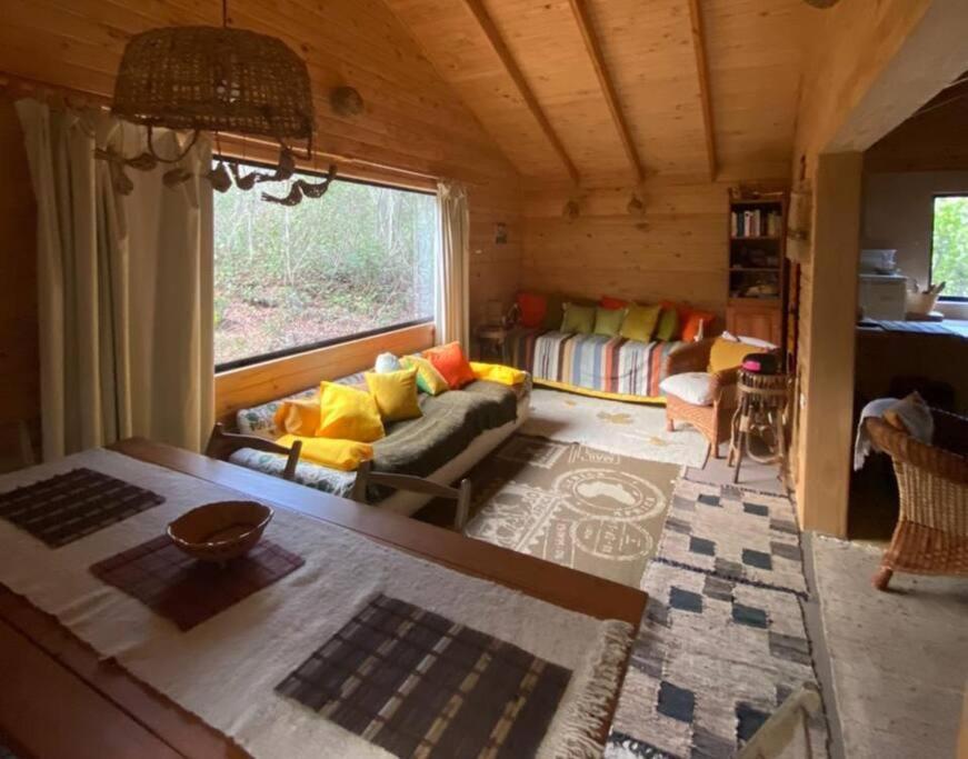 Cabana Bosque Viejo Villa Las Trancas Exterior photo